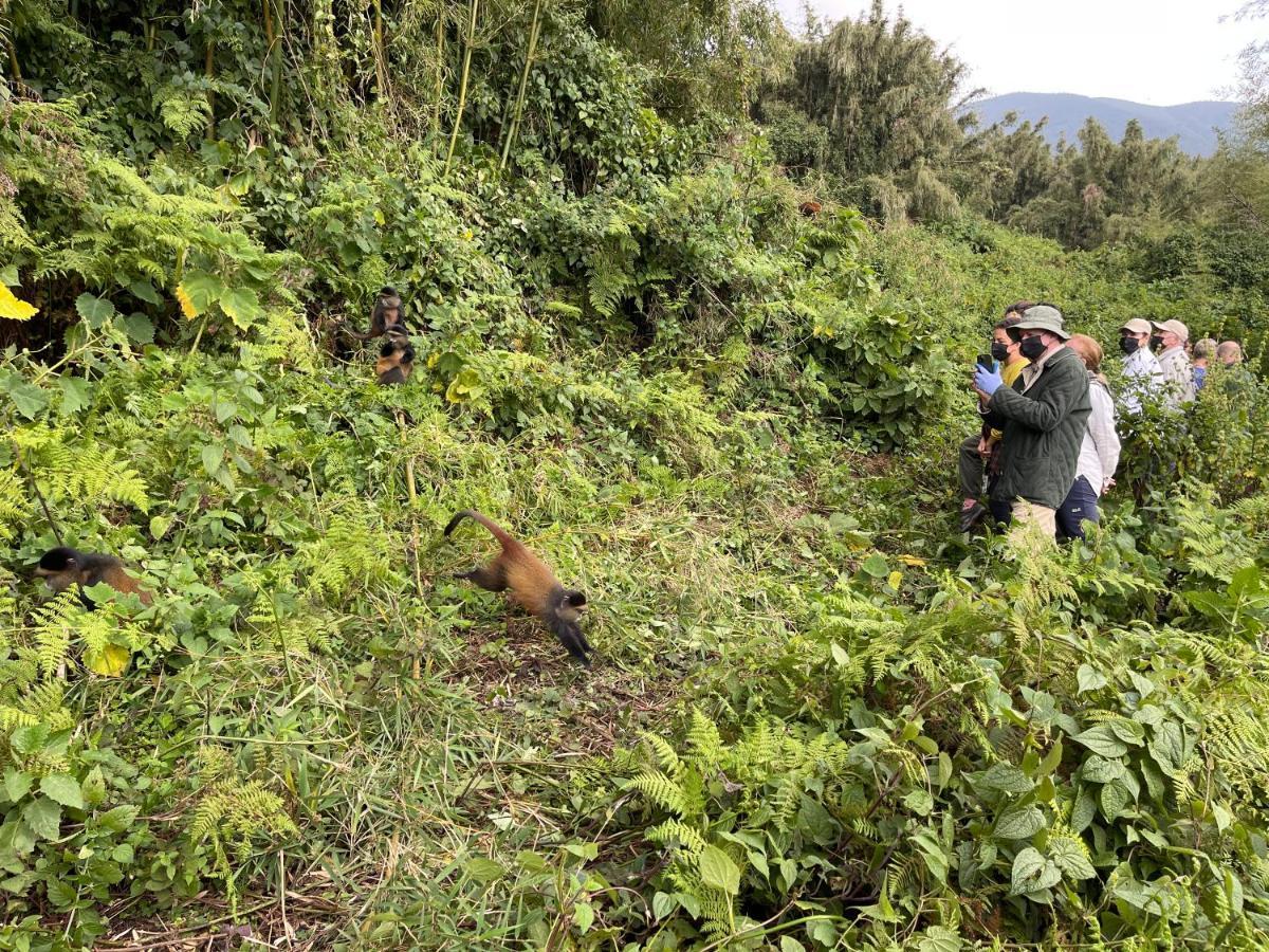 Virunga Homes 루헹게리 외부 사진