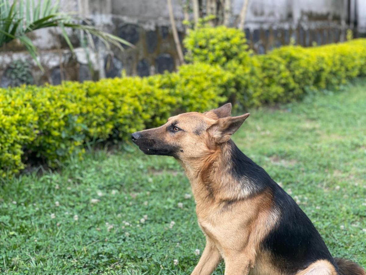 Virunga Homes 루헹게리 외부 사진