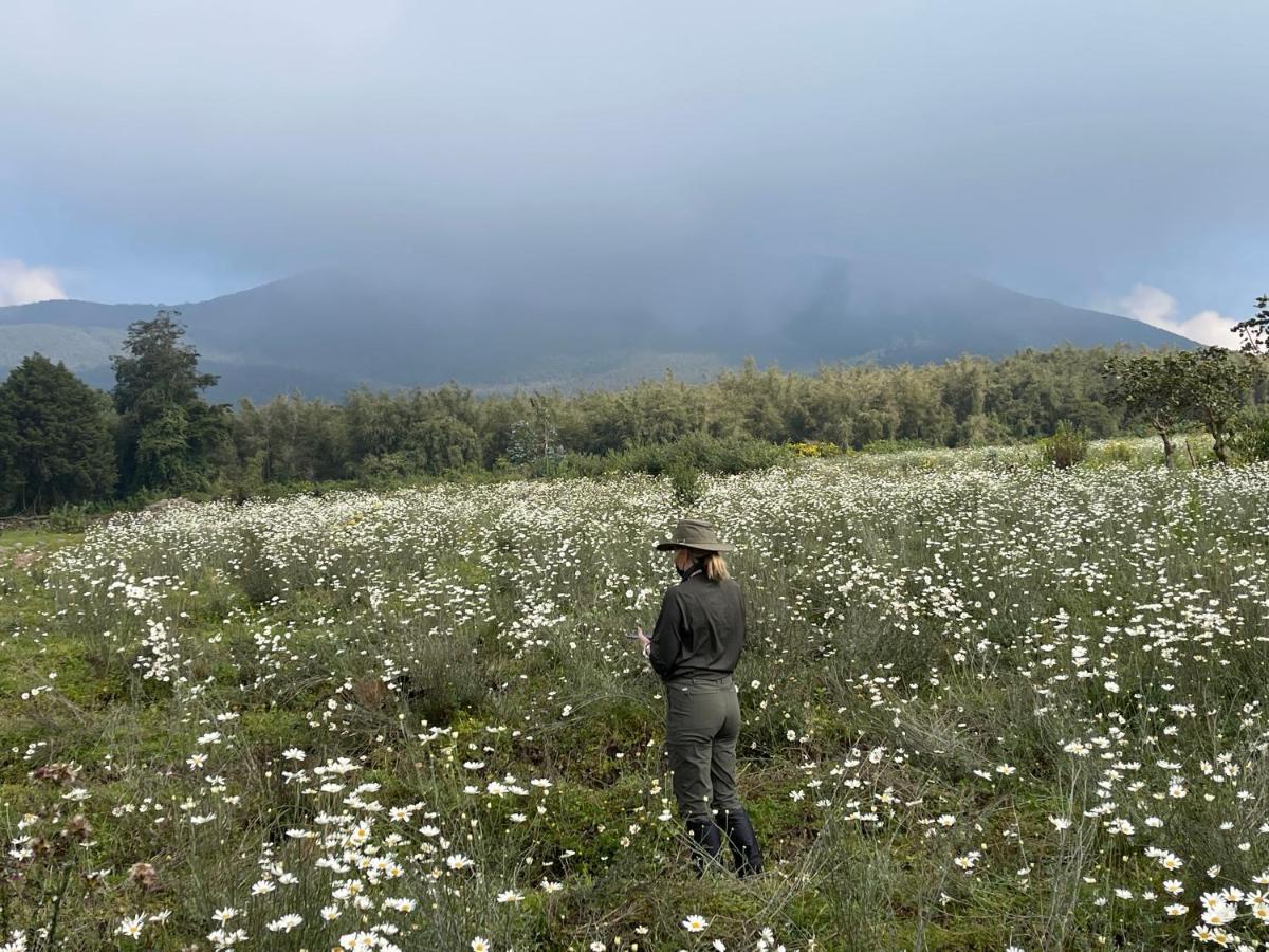 Virunga Homes 루헹게리 외부 사진